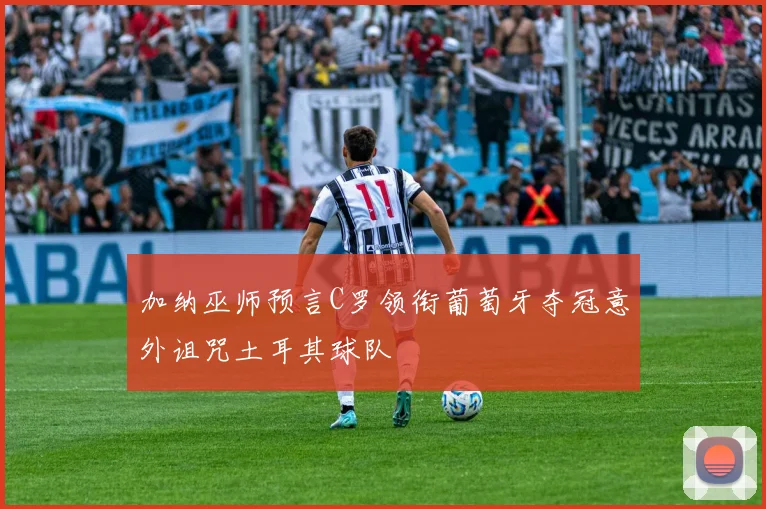 加纳巫师预言C罗领衔葡萄牙夺冠意外诅咒土耳其球队